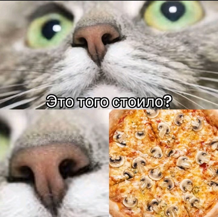 tattooed with a safety pin🦋//заброшен tweet media