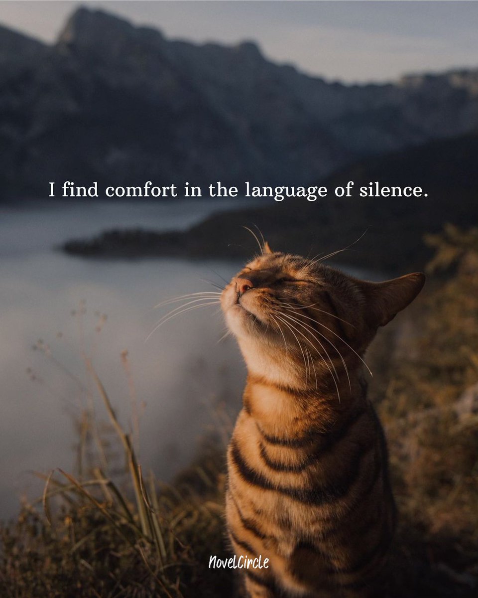 Mind_Essentials's tweet photo. https://t.co/B4Op7WlKle