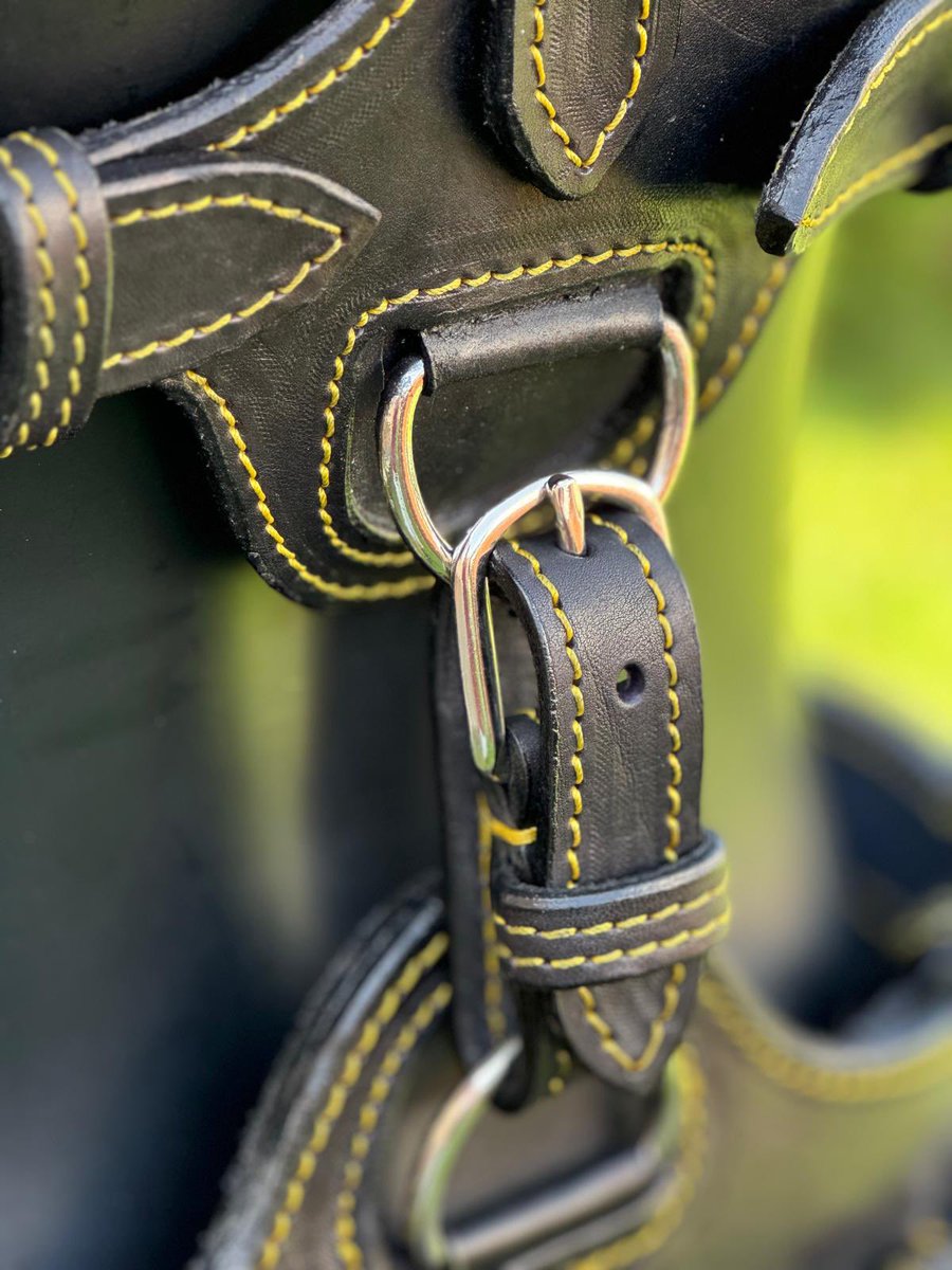 Harness for sale, light yellow thread, If you are interested, write to “sales@porthosstable.com

they are ready to ship immediately