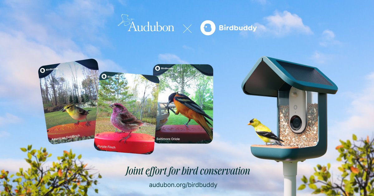 Big news! We're partnering with <a href="/audubonsociety/">Audubon Society</a> with the National Audubon Society to support bird conservation efforts across the Americas. On International Day of Climate Action, we're reminded that every small action counts! Pledge to help birds and take action on climate