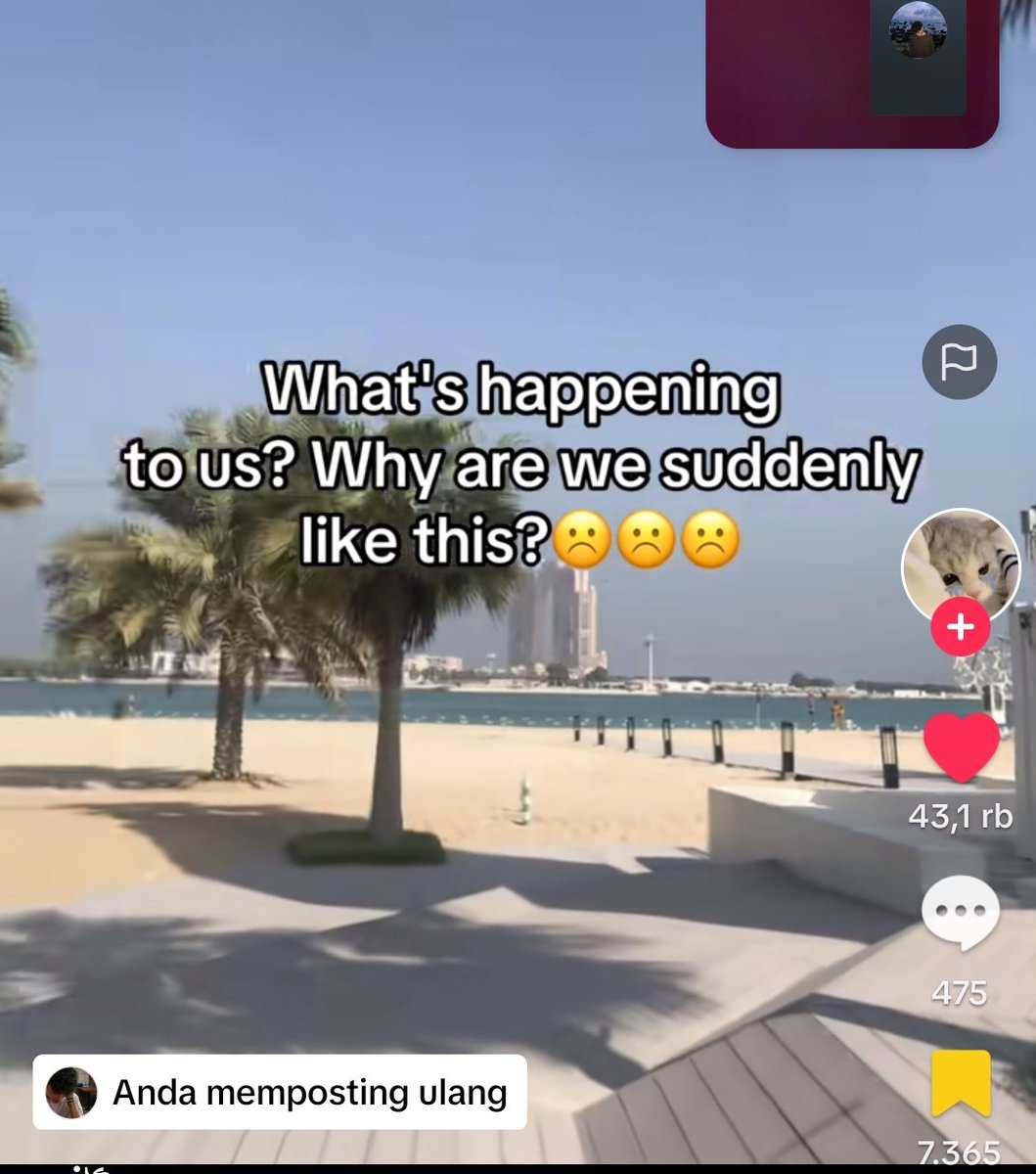 NotThatSpecial. tweet media