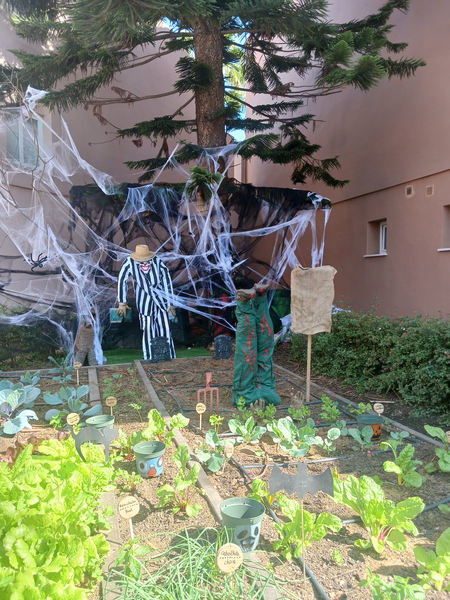 Natalie Gil (@natgilg) on Twitter photo This time of the year 🎃 our gardener <a href="/leandrobeegreen/">lean</a> likes hiding in our #GreenMinds #EcologicalGarden... Can you spot him? 😱 #HalloweenRecycledCompetition2024 at #LosAmigosBeachClub
Great decoration from our gardening team <a href="/Silvia_AGP/">Silvia Cárdenas</a> <a href="/Cristin36855861/">Cristina c.c</a> <a href="/SweetAntares/">Juani Ariza Baena</a> <a href="/Eva2273/">Eva Ruiz</a> This time of the year 🎃 our gardener <a href="/leandrobeegreen/">lean</a> likes hiding in our #GreenMinds #EcologicalGarden... Can you spot him? 😱 #HalloweenRecycledCompetition2024 at #LosAmigosBeachClub
Great decoration from our gardening team <a href="/Silvia_AGP/">Silvia Cárdenas</a> <a href="/Cristin36855861/">Cristina c.c</a> <a href="/SweetAntares/">Juani Ariza Baena</a> <a href="/Eva2273/">Eva Ruiz</a>