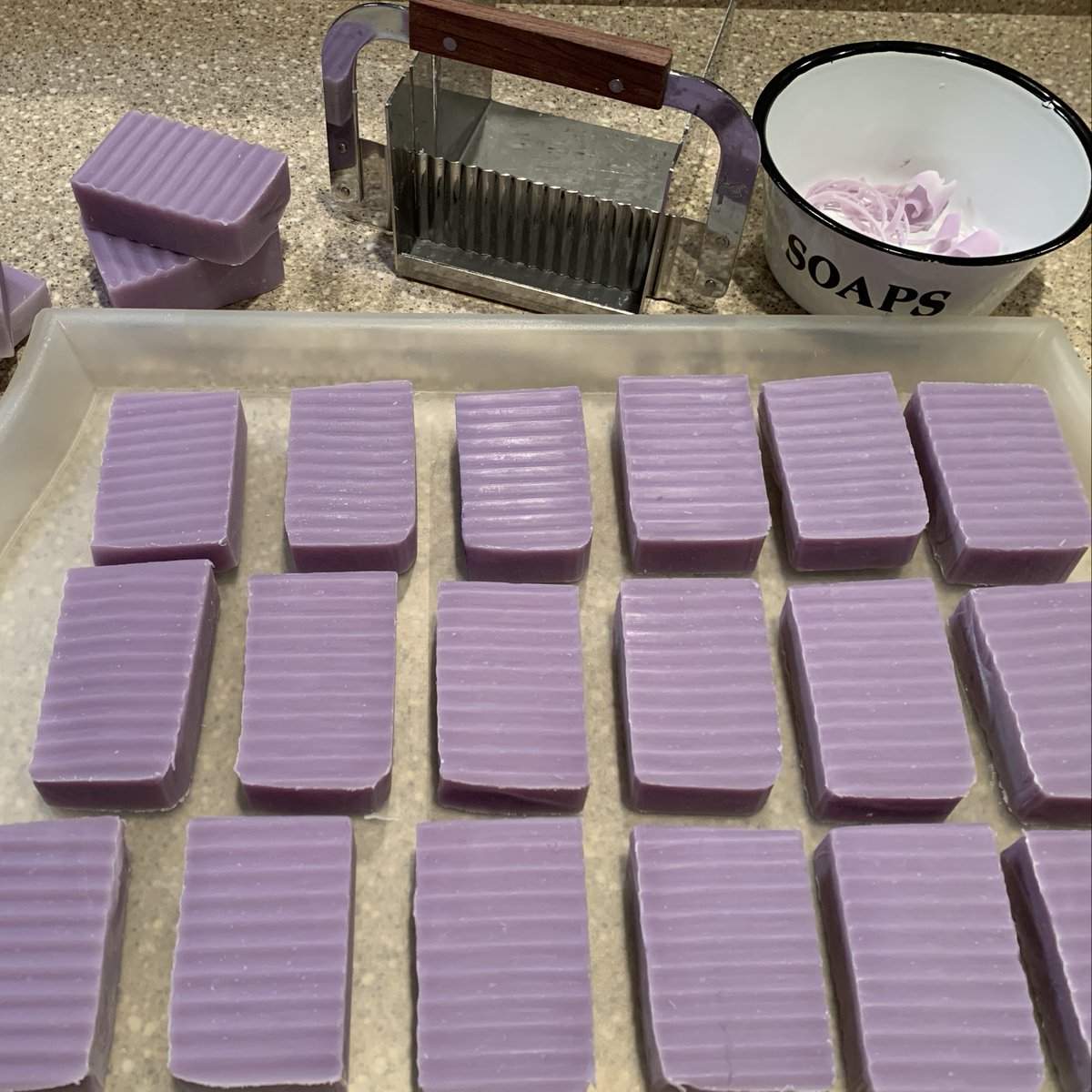 Lori Nova Endres tweet media