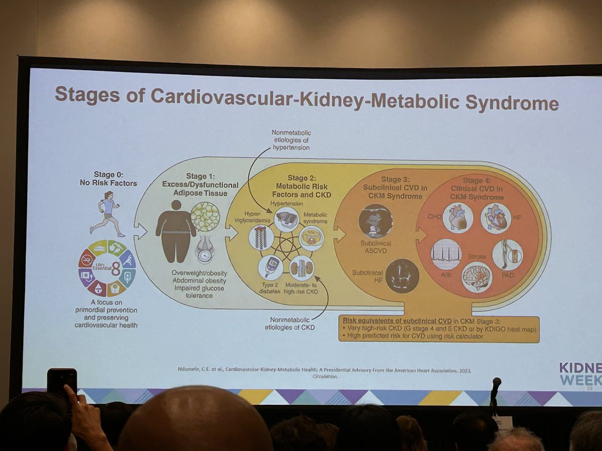 rboothpur's tweet photo. Kidney week 
CKM syndrome https://t.co/9zkMbhPf9X