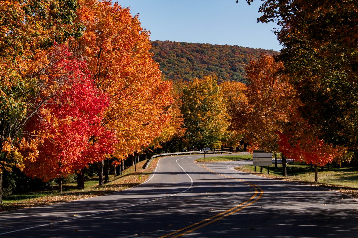 HFPAssociation's tweet photo. 🍁 Fall Magic is Unfolding in Harpers Ferry! 🍂

Seemingly overnight, the landscape of @HarpersFerryNPS has exploded with vibrant reds, oranges, and yellows, turning the park into a breathtaking autumn masterpiece!

Don’t forget to follow along for weekly updates! https://t.co/NFNycJEYHm