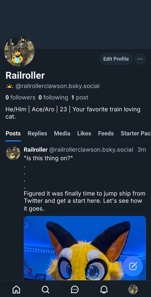I've finally switched to the 🦋 app. Hopefully, I'll try and post a little more there.