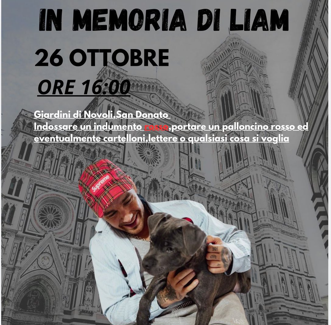 Insieme per ricordare liam. 
26/10/2024
Firenze: Giardini “San Donato” Novoli
Ore 16:00.

❤️