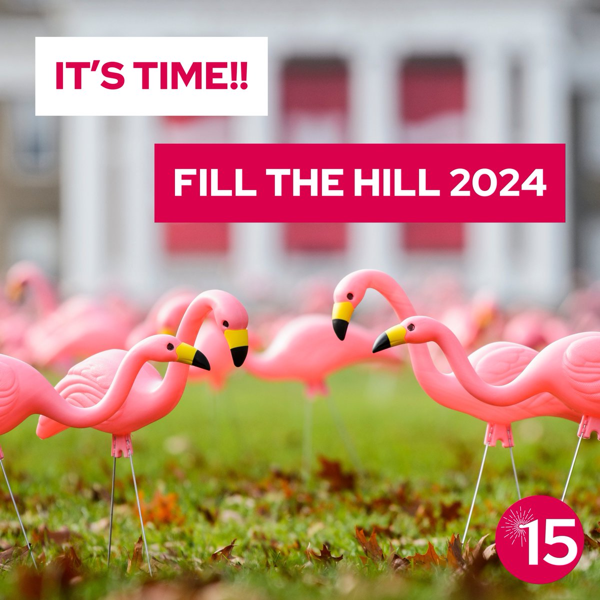 Vice Chancellor for Inclusive Excellence tweet media