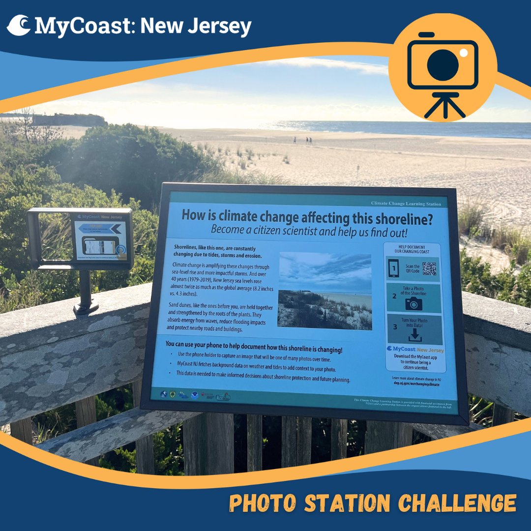 JCNERR (@jcnerr) on Twitter photo Our final stop on the Photo Station Challenge road trip is Cape May Point State Park, found on the boardwalk beach access next to the nature center. The sand dunes on this shoreline are held together by native plant roots. <a href="/NewJerseyDEP/">New Jersey Department of Environmental Protection</a> <a href="/RutgersNJAES/">Rutgers NJAES</a>
mycoast.org/nj/photo-stati⦠Our final stop on the Photo Station Challenge road trip is Cape May Point State Park, found on the boardwalk beach access next to the nature center. The sand dunes on this shoreline are held together by native plant roots. <a href="/NewJerseyDEP/">New Jersey Department of Environmental Protection</a> <a href="/RutgersNJAES/">Rutgers NJAES</a>
mycoast.org/nj/photo-statiā¦