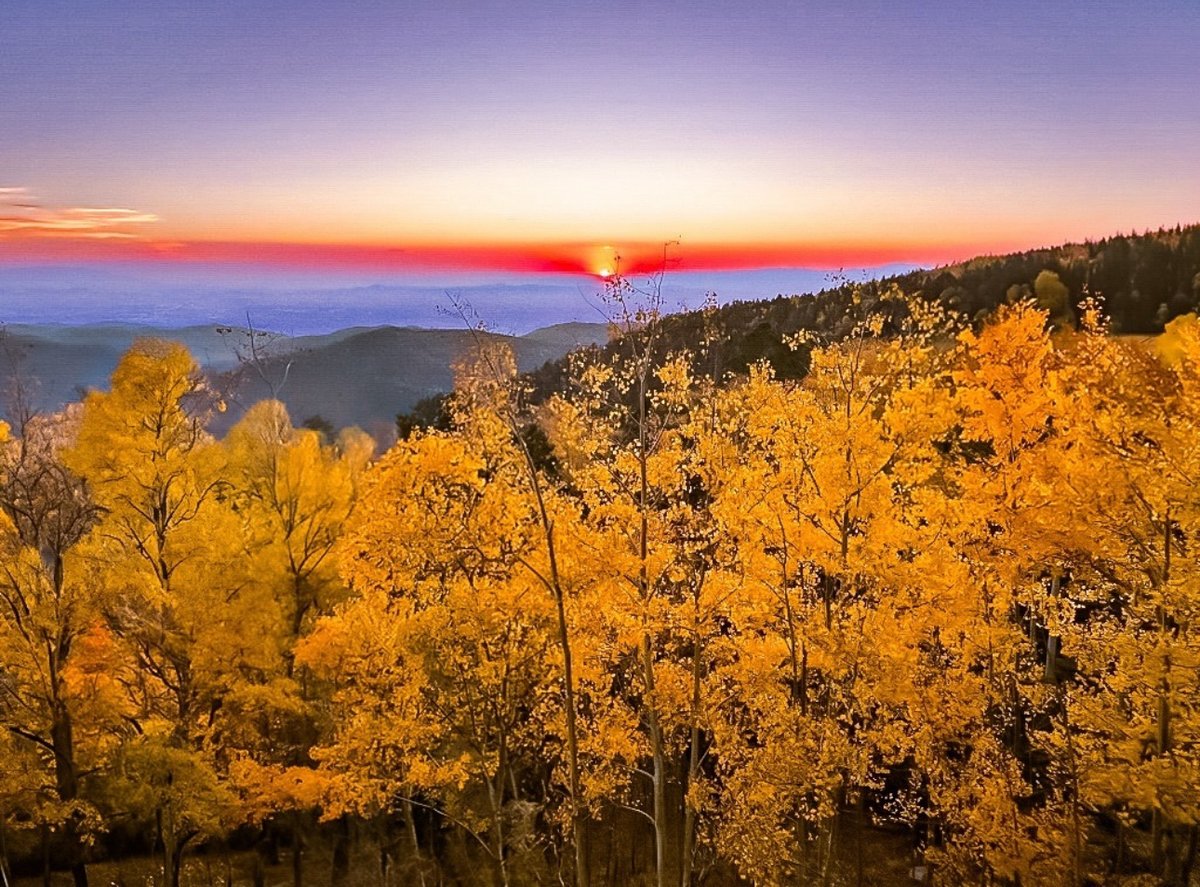 SantaFeNMTrue's tweet photo. We see a gorgeous sunset in your future. 

📷: ajvictorymd
#santafenmtrue #visitsantafecounty #santafecounty #santafecountyadventures #nmtrue #newmexicotrue #newmexicosunset https://t.co/DaE1GRrqyv