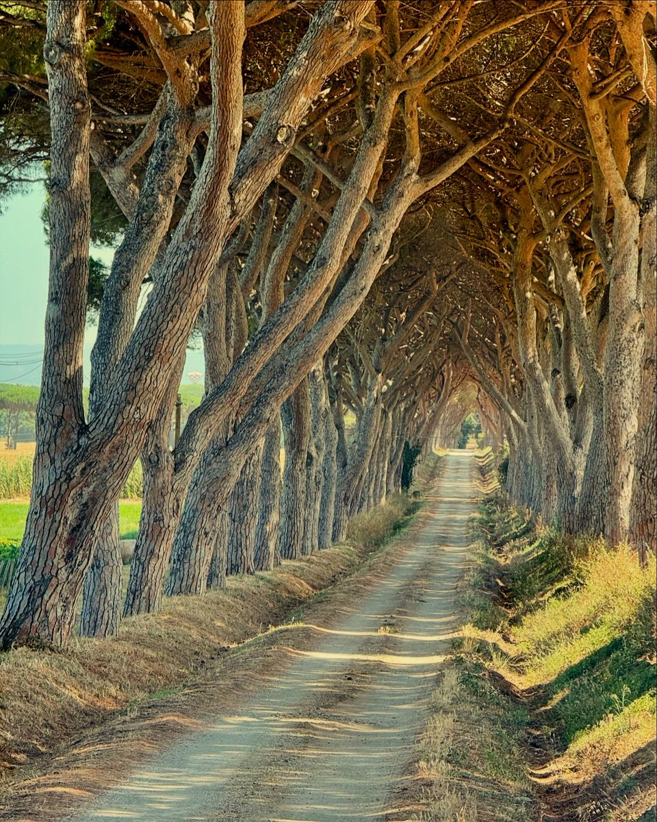 Kathy Wiedemann 🥂🍾 tweet media