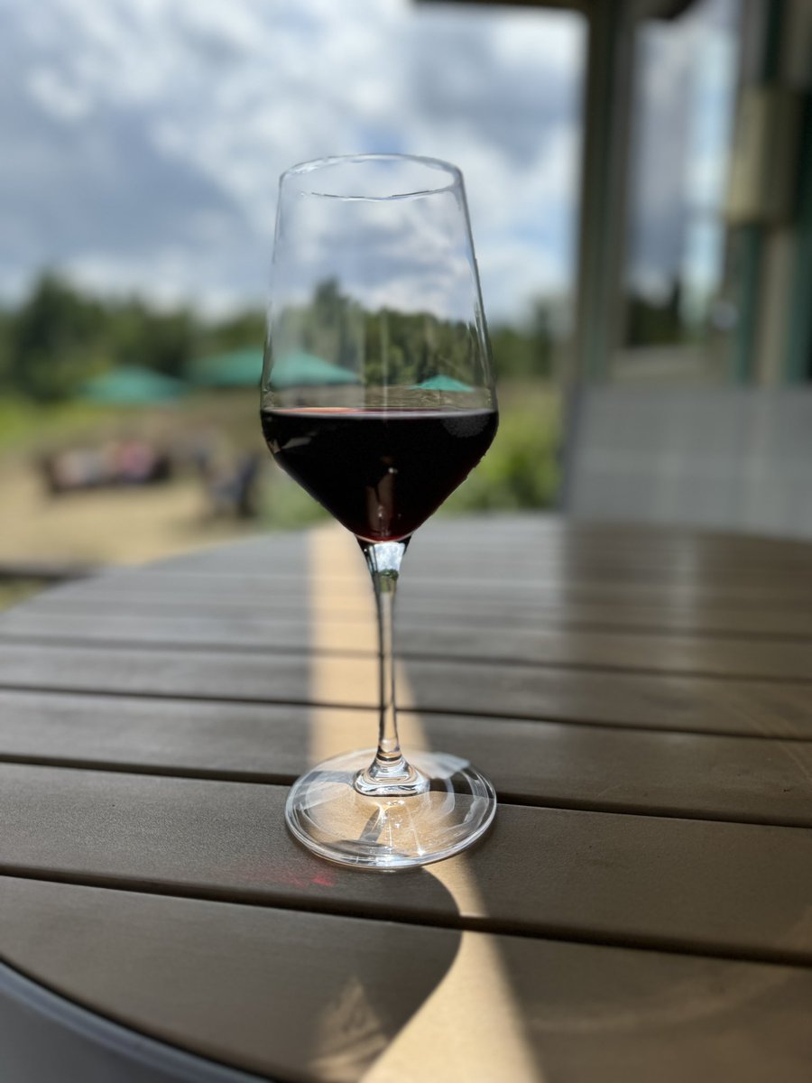 Kathy Wiedemann 🥂🍾 tweet media