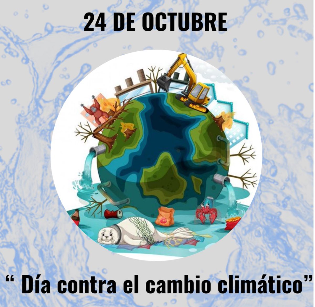 Dirección de Medio Ambiente tweet media