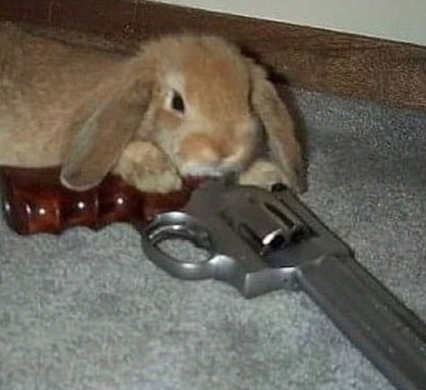 Lucy Bowling tweet media