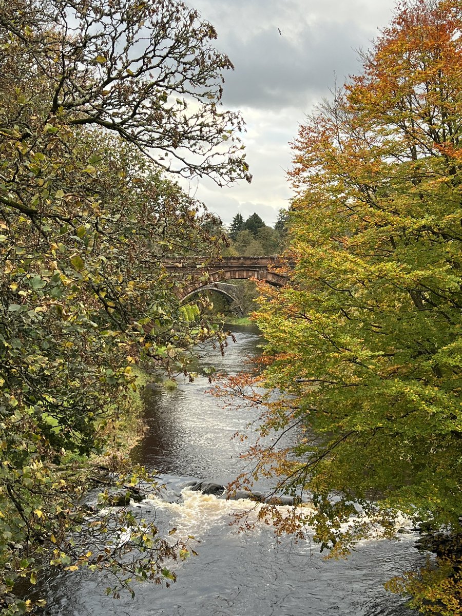 FionaBLees's tweet photo. โYe banks and braesโ Autumn vibes ๐๐#Todayโs walk #RiverDoon https://t.co/pWbBvn4S7R