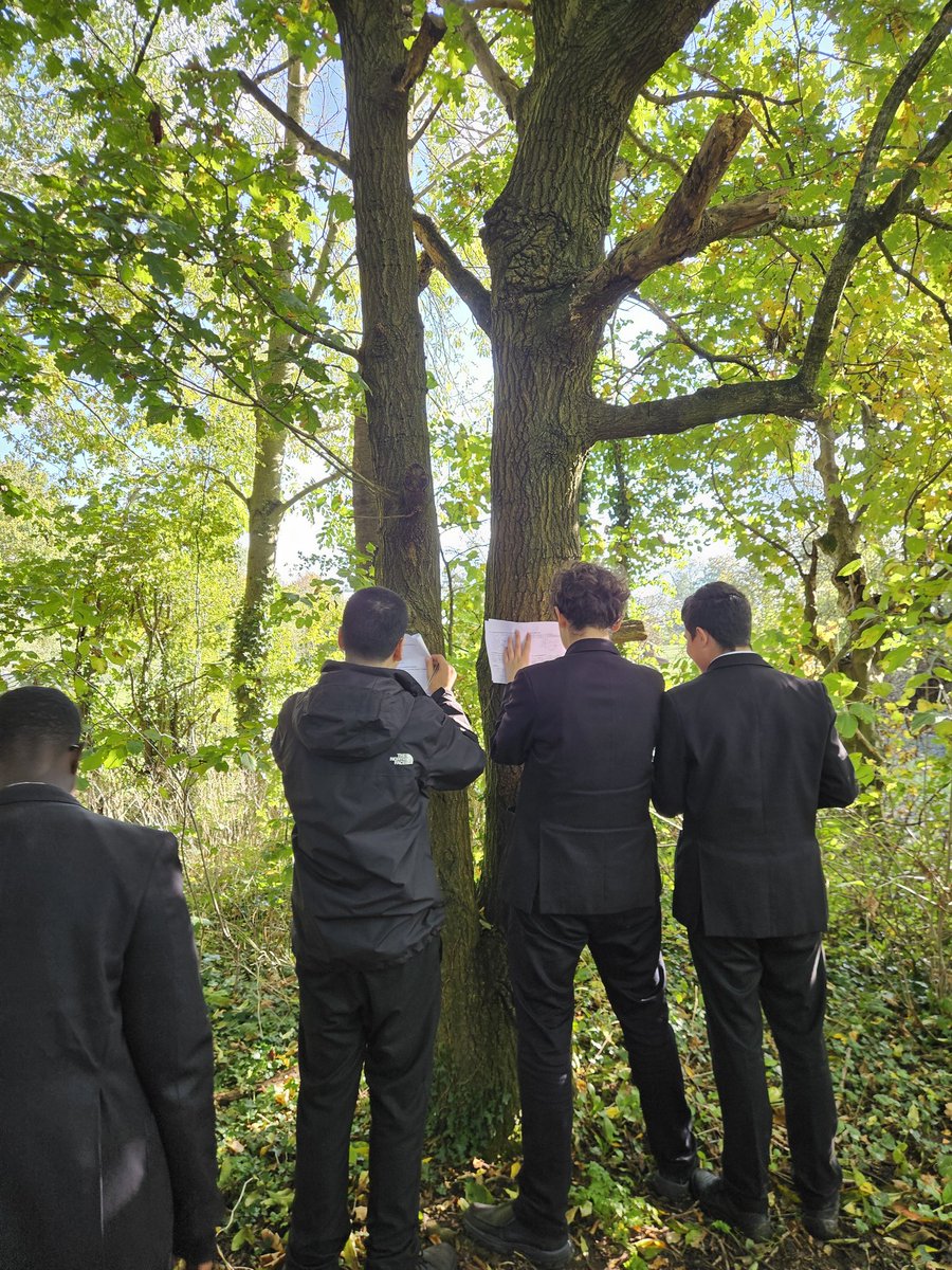 QueensSch_Geog's tweet image. Using our wonderful outdoor classroom to explore our own deciduous woodland #daretobegreat #practicallearning