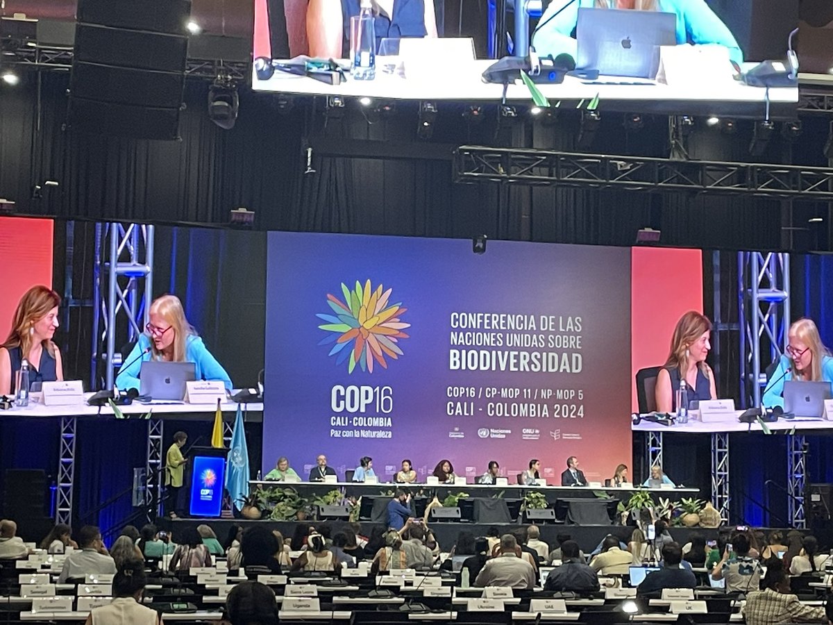 Margarita Lopez-Uribe tweet media