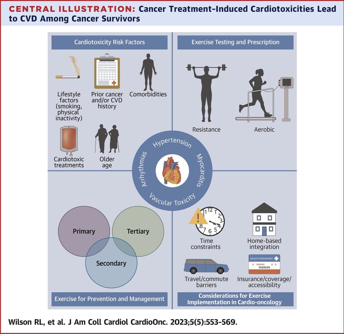 Patients treated w/ cardiotoxic cancer therapies face a higher risk of cardiotoxicities during Tx &amp; survivorship. While exercise can reduce CV risk, only cancer survivors w/ confirmed #CVD Dx qualify for exercise-based #CardioOnc rehab bit.ly/3YySssC

#JACCCardioOnc