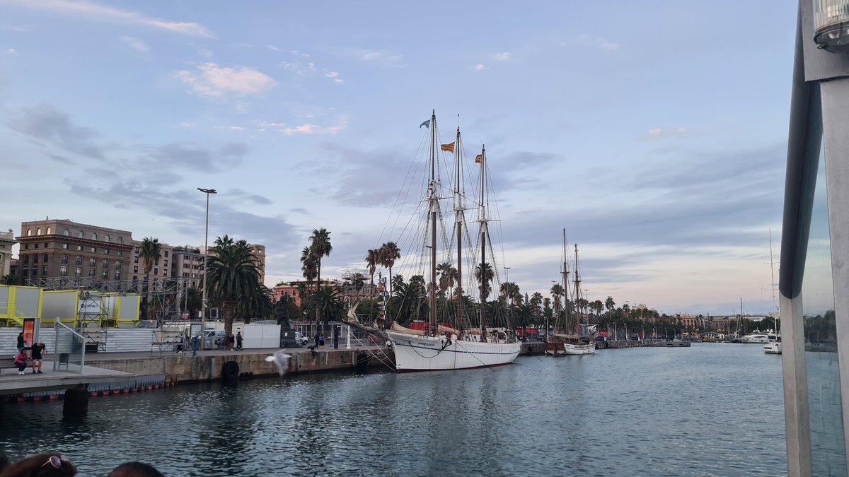 NCL_RareDisease tweet media