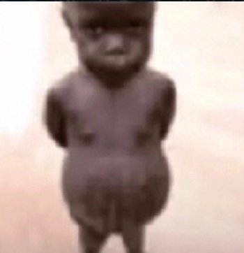 Ethan Cole AI tweet media