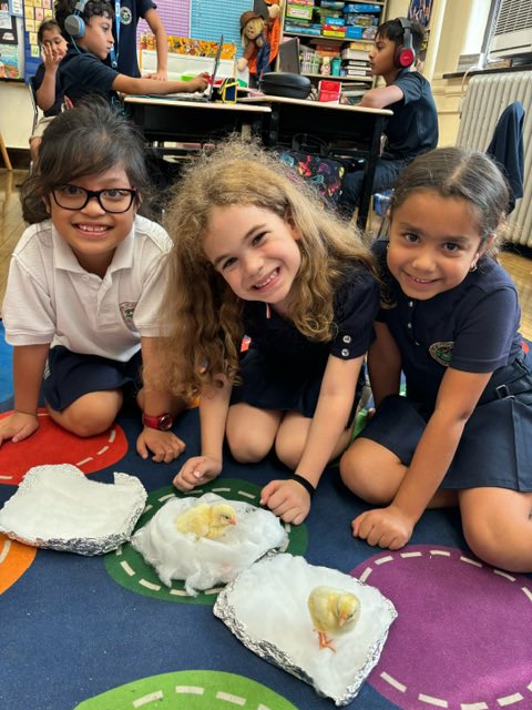 RobinsonSchool3's tweet photo. Gr. 2 students in Ms. Bodayle’s class created STEM projects including pens, beds, and a whole lot more for their recently hatched chicks. @BPSEarlyChildhd @BayonneBOE https://t.co/fLR15Jnhqt
