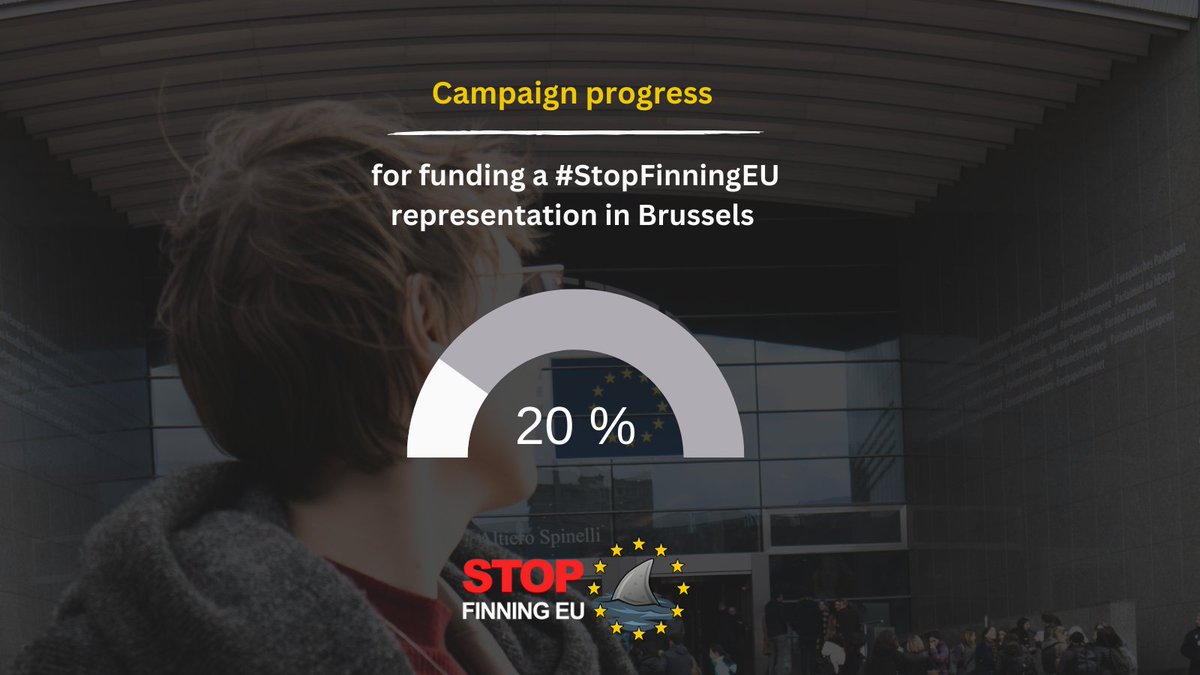 StopFinningEU tweet media