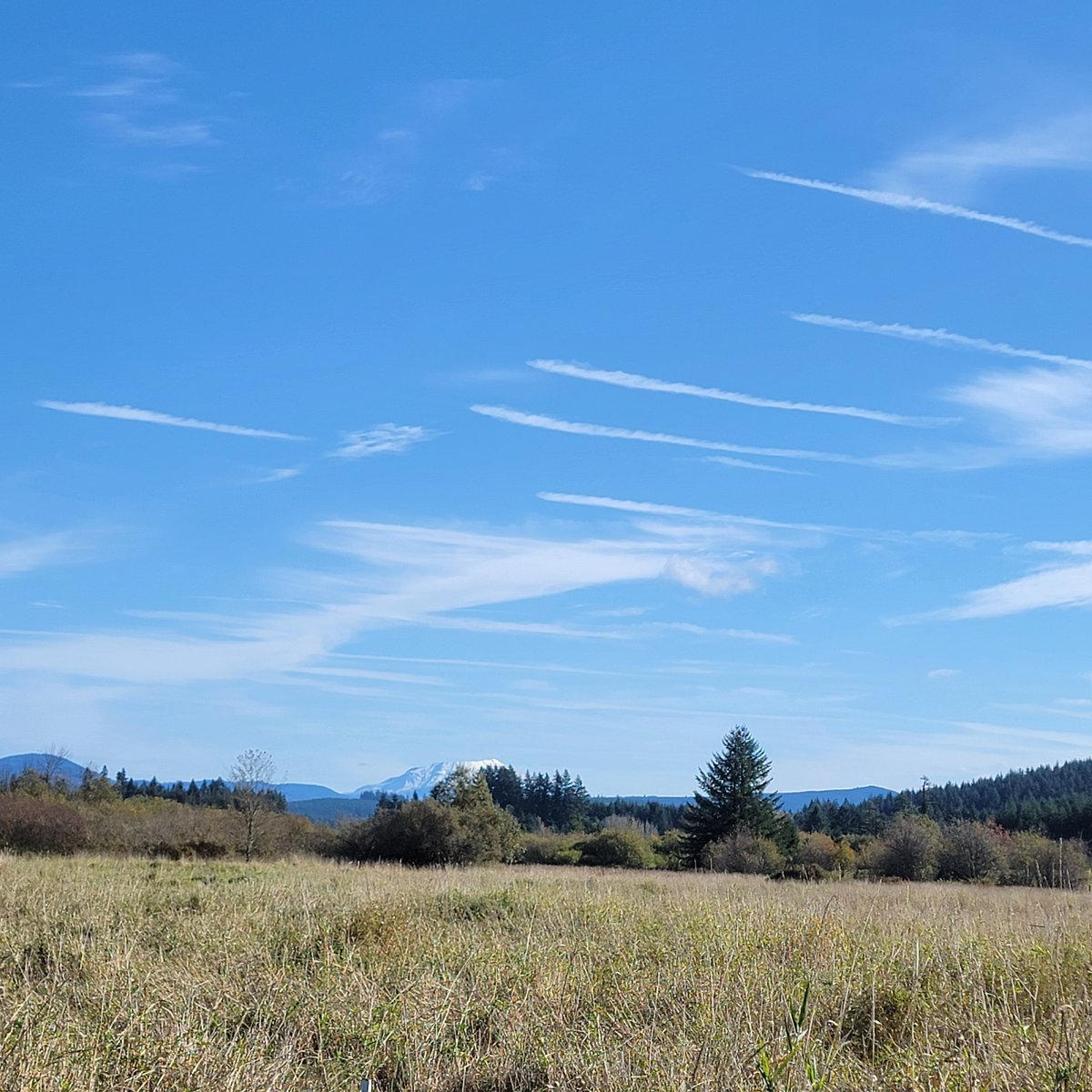 HaHa961140HaHa's tweet photo. @nogps1 It never ends 😡
Beautiful Mt St Helens in the background, poison in our skies above. https://t.co/lQxh7eG78n