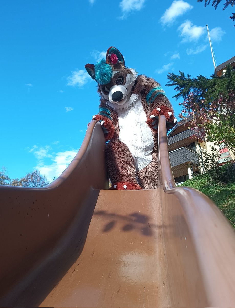 KeLoX 🇨🇭🇮🇹 tweet media