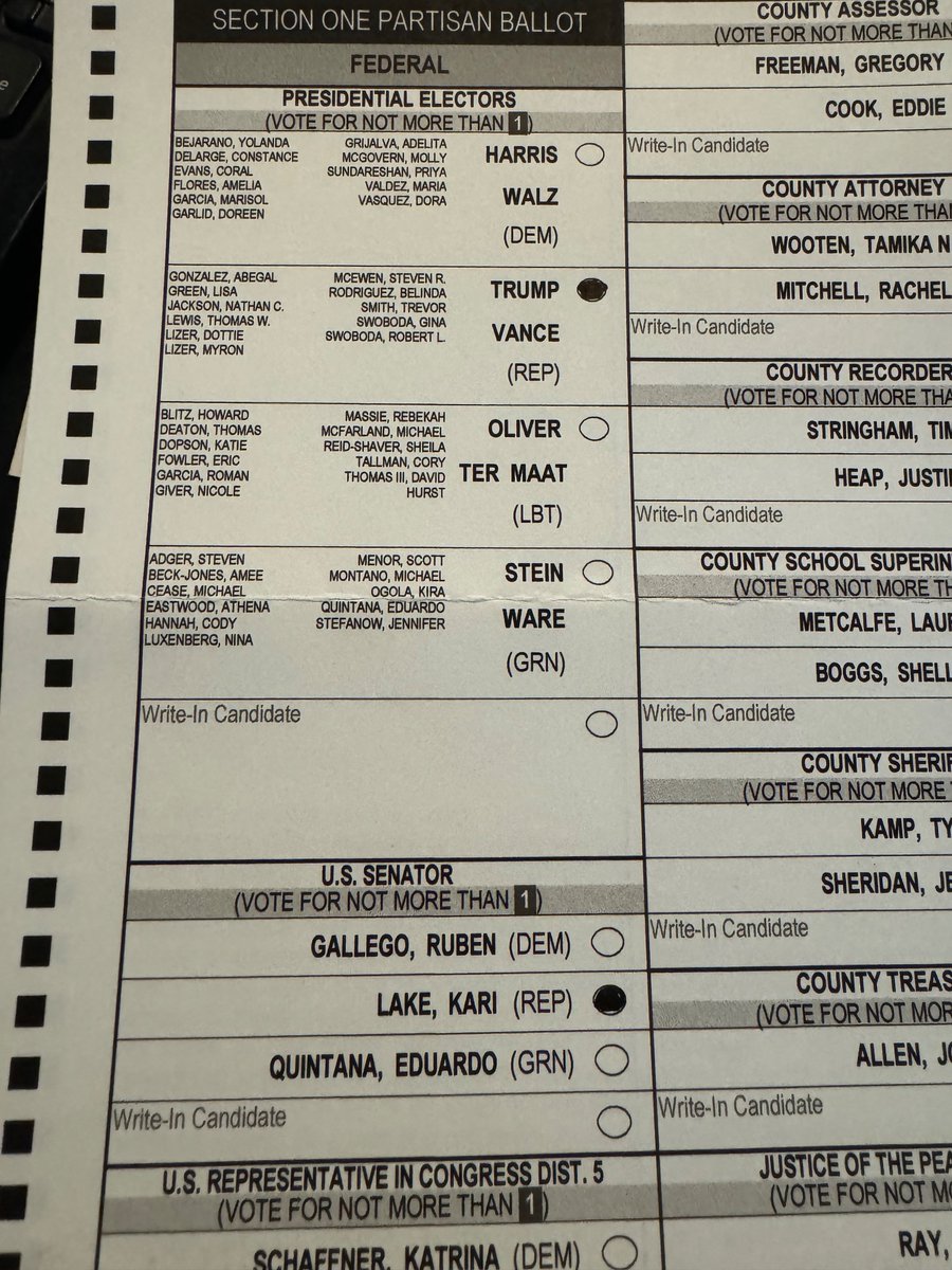 4AlphaZulu's tweet photo. @KariLake Already cast my ballot for you Kari! #ArizonaFirst #AmericaFirst https://t.co/aPzvVq9Duu