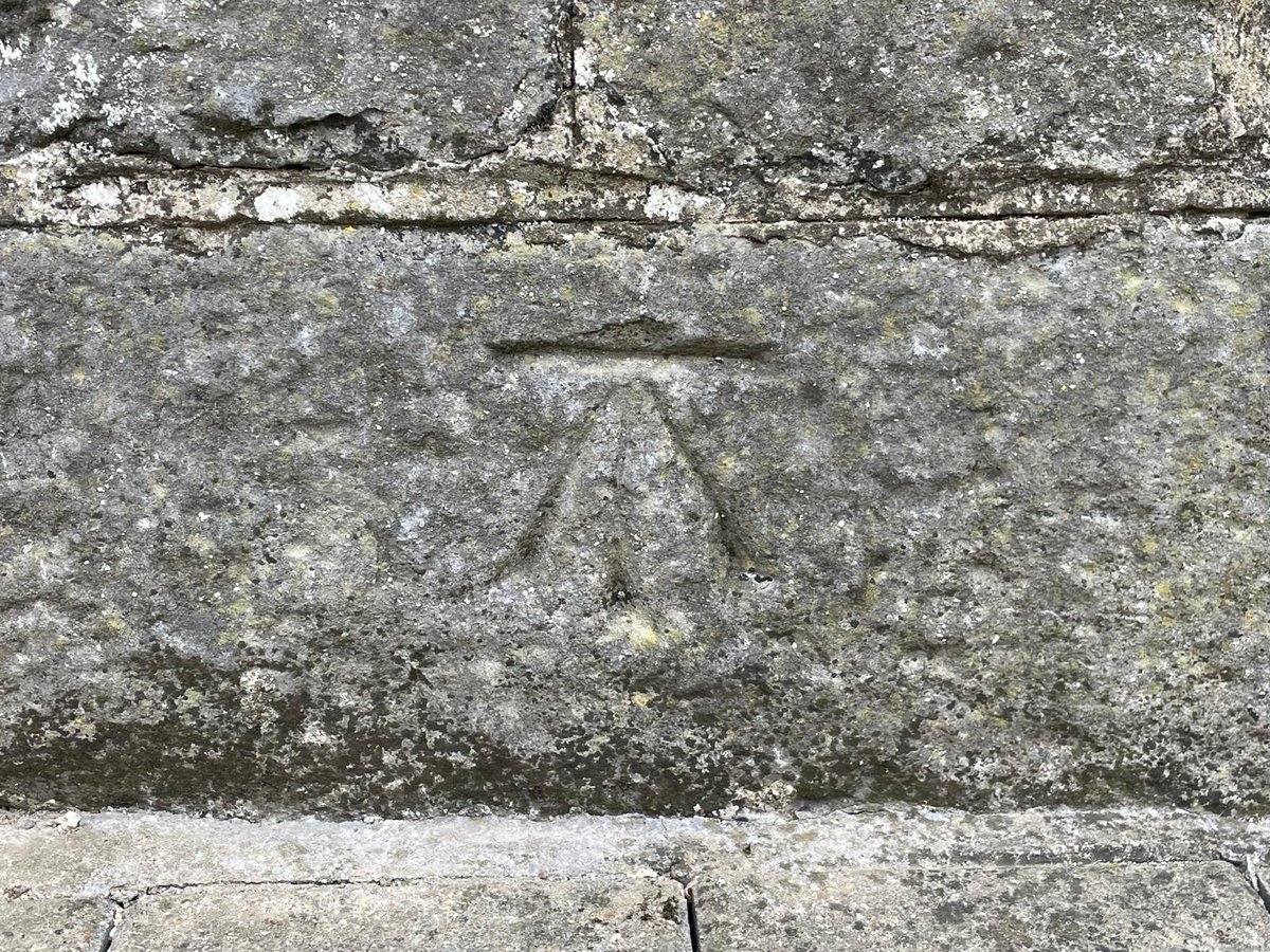 Dr Rachel Murphy tweet media