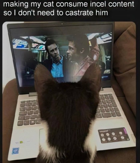 eternalclassic_'s tweet photo. https://t.co/p8vvzet6wX