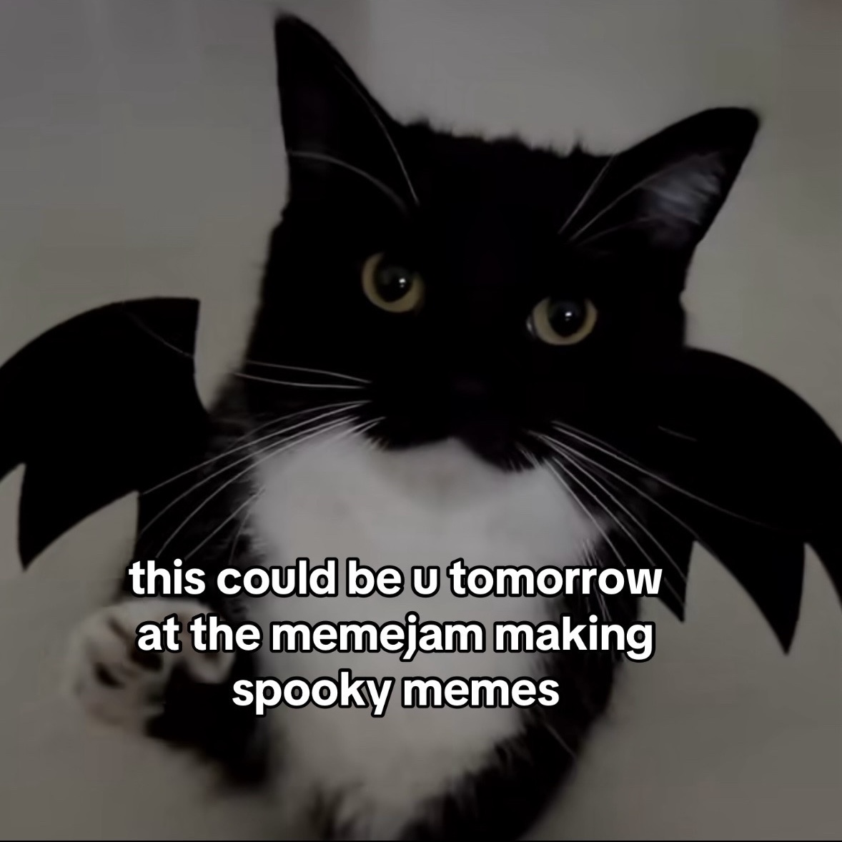 Join LEO Comms Committee TOMORROW, Friday, October 25th from 5-7pm at HOMES Campus (112 Jackson Plaza, Ann Arbor, MI 48103) for a MemeJam! Enjoy food and drinks while making silly (possibly spooky?) memes!

Register: bit.ly/leomemejam