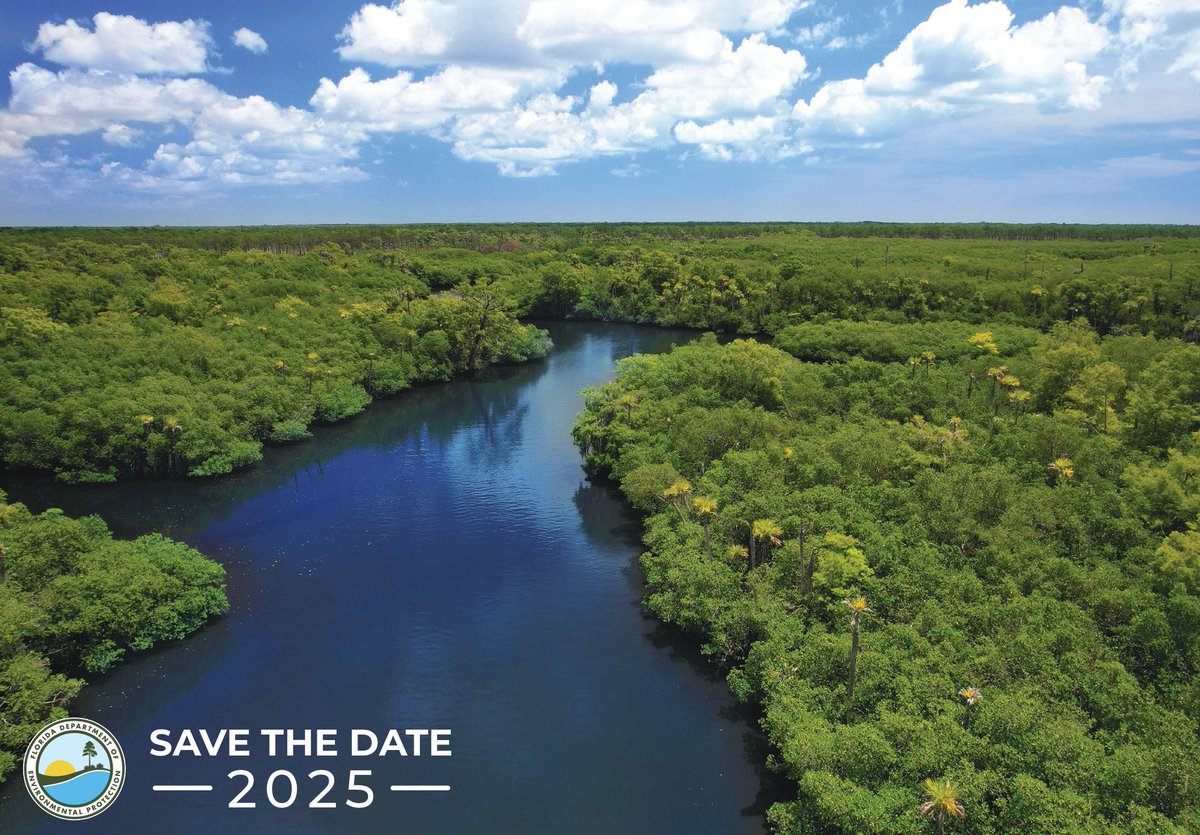 FLDEPNews's tweet photo. 🎉🌊 Happy Anniversary! 🏞️💧

2025 will mark five decades of protecting Florida's precious aquatic ecosystems through the Aquatic Preserve Act. This landmark legislation has safeguarded our beautiful coastlines, estuaries and wetlands, ensuring they thrive for generations to come.

We’ll be gearing up for the anniversary celebration by giving you an inside look at our 43 Aquatic Preserves, highlighting the #PeopleBehindthePreserves and looking back at some of the stellar achievements made by AP staff and volunteers.

#CelebrateAquaticConnection by honoring the dedicated efforts to preserve our natural treasures and the countless species that call these waters home. Together, let’s protect our vibrant marine environments! 🐠💚
