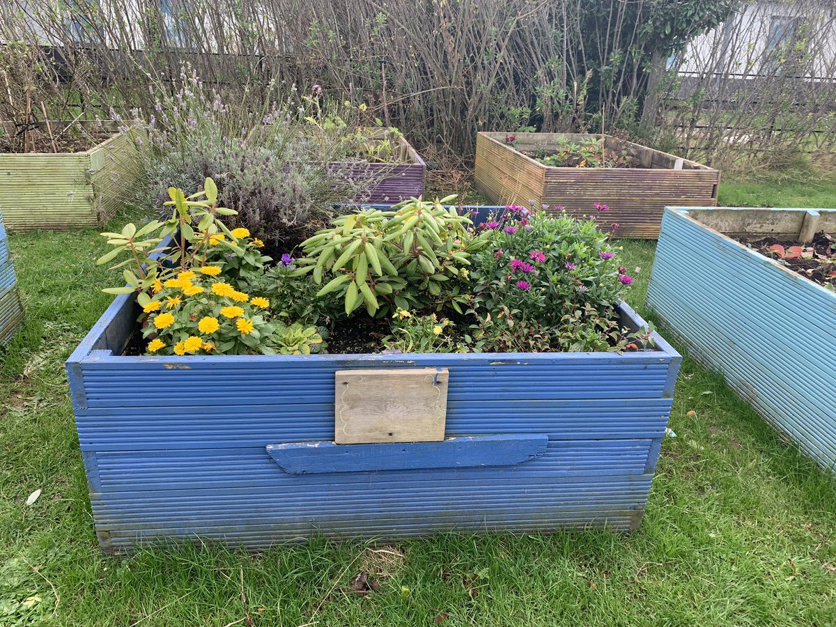 michelle englishby (@michenglishby) on Twitter photo Fantastic to see so many service users enjoying our new gardening group ! Each week the garden is progressing ! <a href="/HarbourAdultOT/">HarbourAdultOTTeam</a> <a href="/HarbourIP/">We Are Harbour Inpatients</a> Fantastic to see so many service users enjoying our new gardening group ! Each week the garden is progressing ! <a href="/HarbourAdultOT/">HarbourAdultOTTeam</a> <a href="/HarbourIP/">We Are Harbour Inpatients</a>
