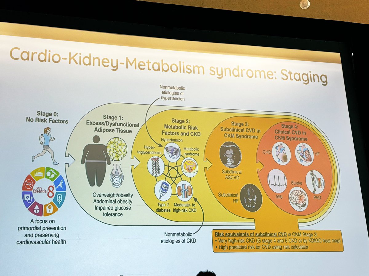 Harriette Van Spall, MD MPH 🇨🇦 (@hvanspall) on Twitter photo This <a href="/AHAScience/">AHA Science</a> graphic with associated #CKM nomenclature & classification scheme has been shown at EVERY international #metabolic meeting I’ve attended this year.
Way to go, #AHA presidential advisory group (led by <a href="/ChiadiNdumele/">Chiadi Ndumele</a> & <a href="/RangaswJ/">Janani Rangaswami</a>)!
#Mosaic2024 This <a href="/AHAScience/">AHA Science</a> graphic with associated #CKM nomenclature & classification scheme has been shown at EVERY international #metabolic meeting I’ve attended this year.
Way to go, #AHA presidential advisory group (led by <a href="/ChiadiNdumele/">Chiadi Ndumele</a> & <a href="/RangaswJ/">Janani Rangaswami</a>)!
#Mosaic2024