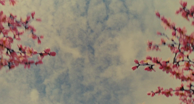 cinesthetic. tweet media