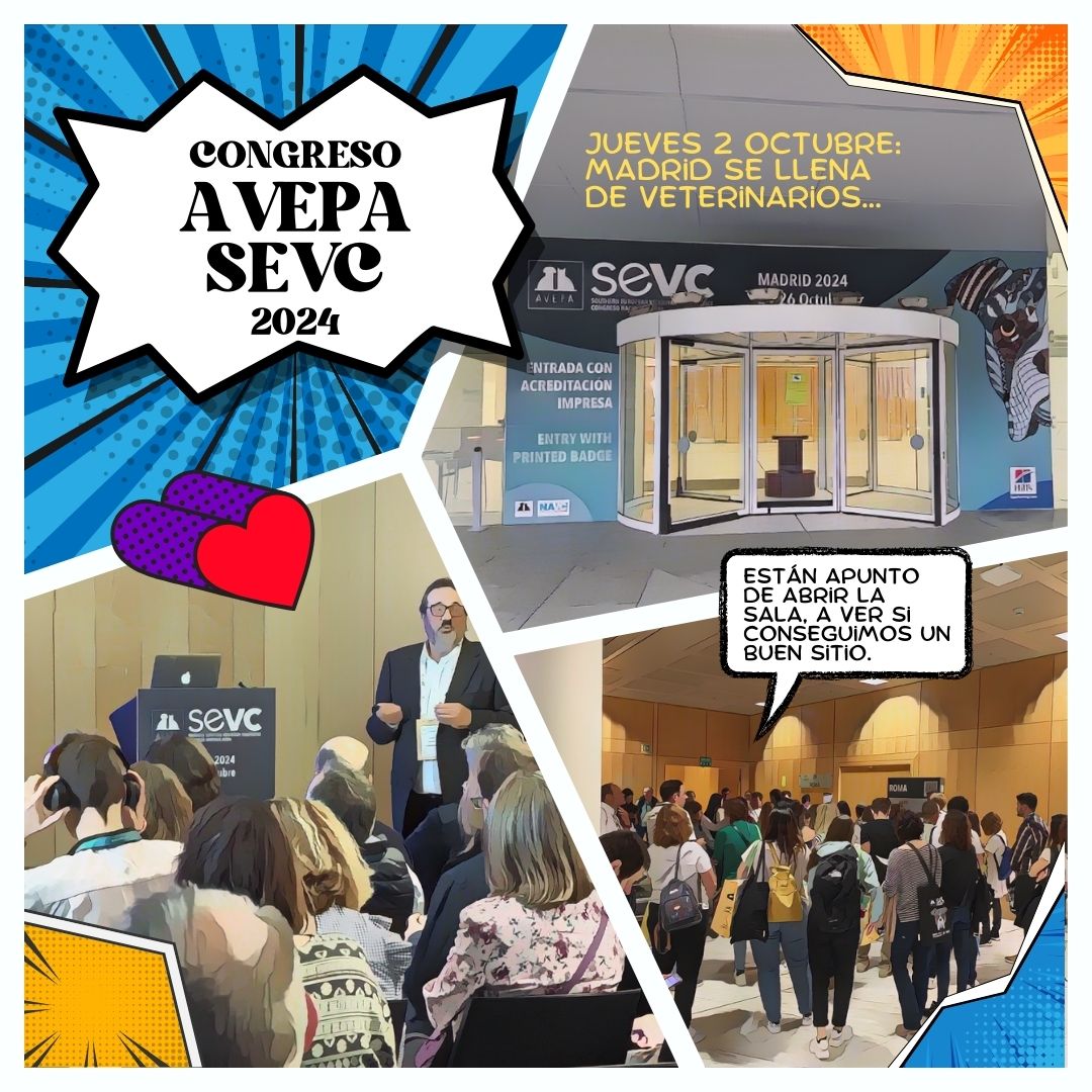 AVEPA_vet's tweet photo. ¡Ya en marcha el #CongresoAVEPASEVC 2024 ! Durante los próximos días, disfruta de ponencias, talleres, zonas de exposición y más. ¡Bienvenid@ al #SEVC2024! #CongresoAVEPA #veterinaria #congresoveterinario #sevc
https://t.co/wa0Lm846ck