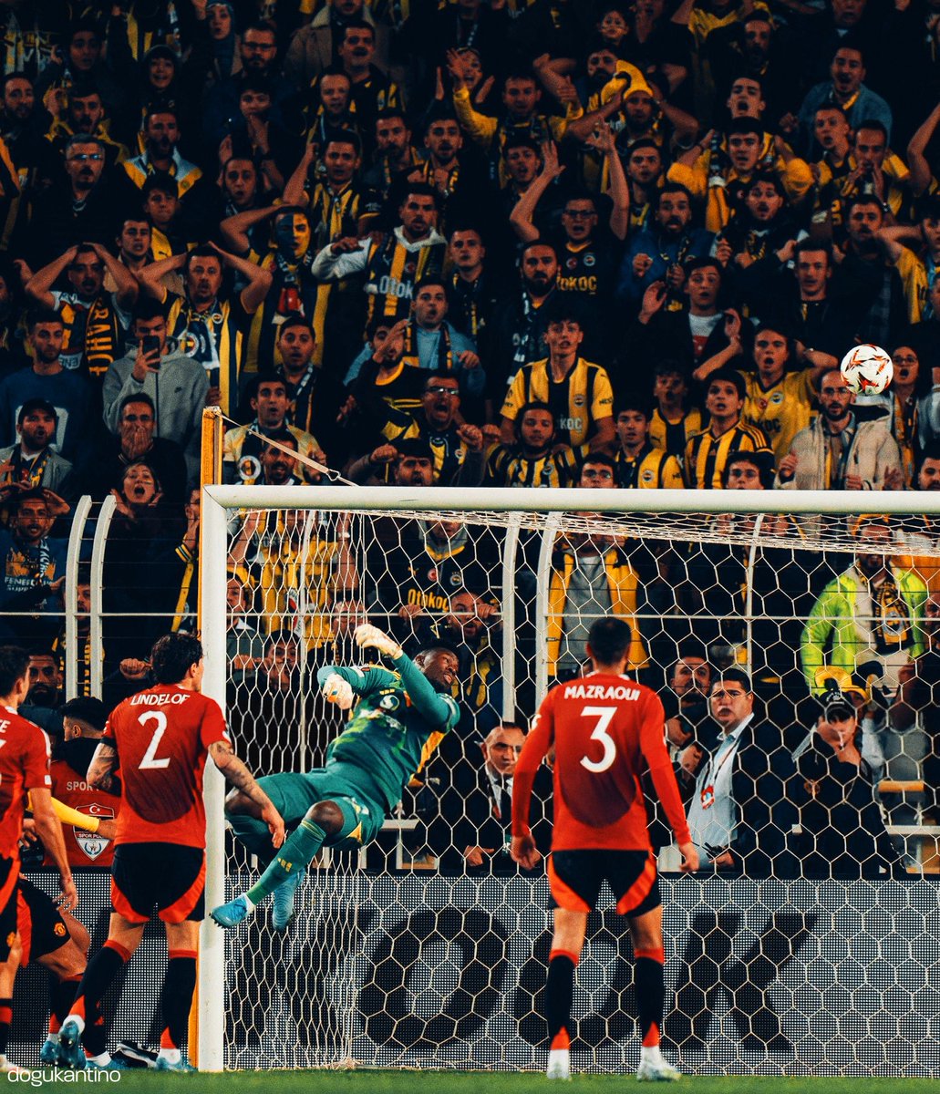 Başkasına kedi, bize panter...