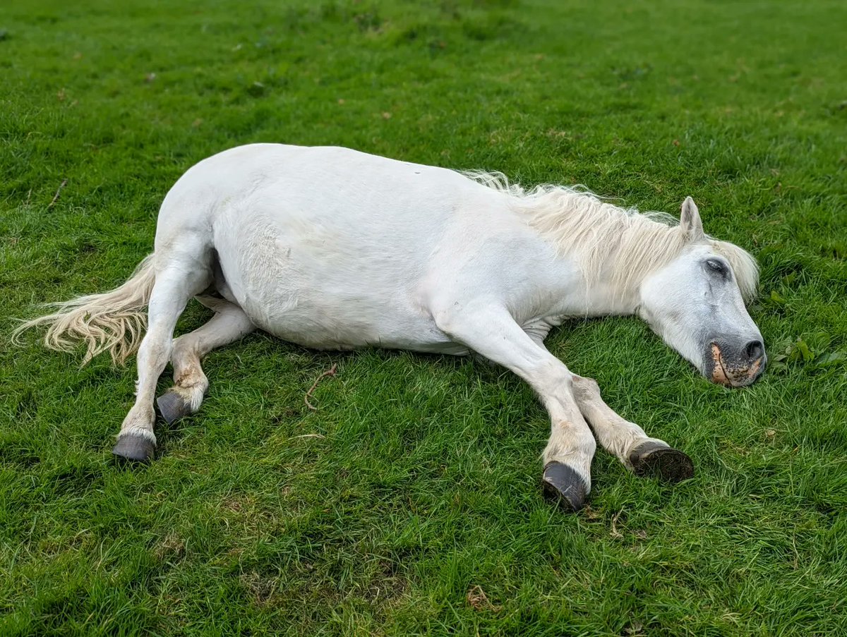 Sally Urwin tweet media