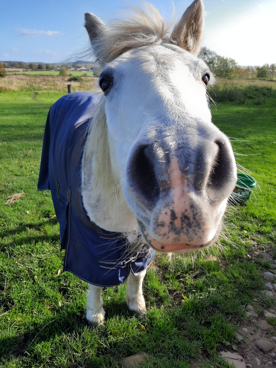 Sally Urwin tweet media