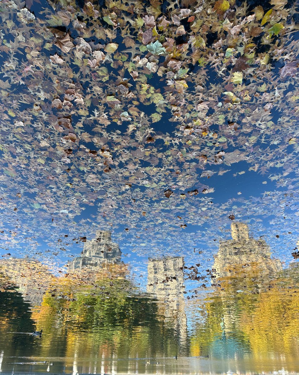 Looks like the Sphere is in Central Park