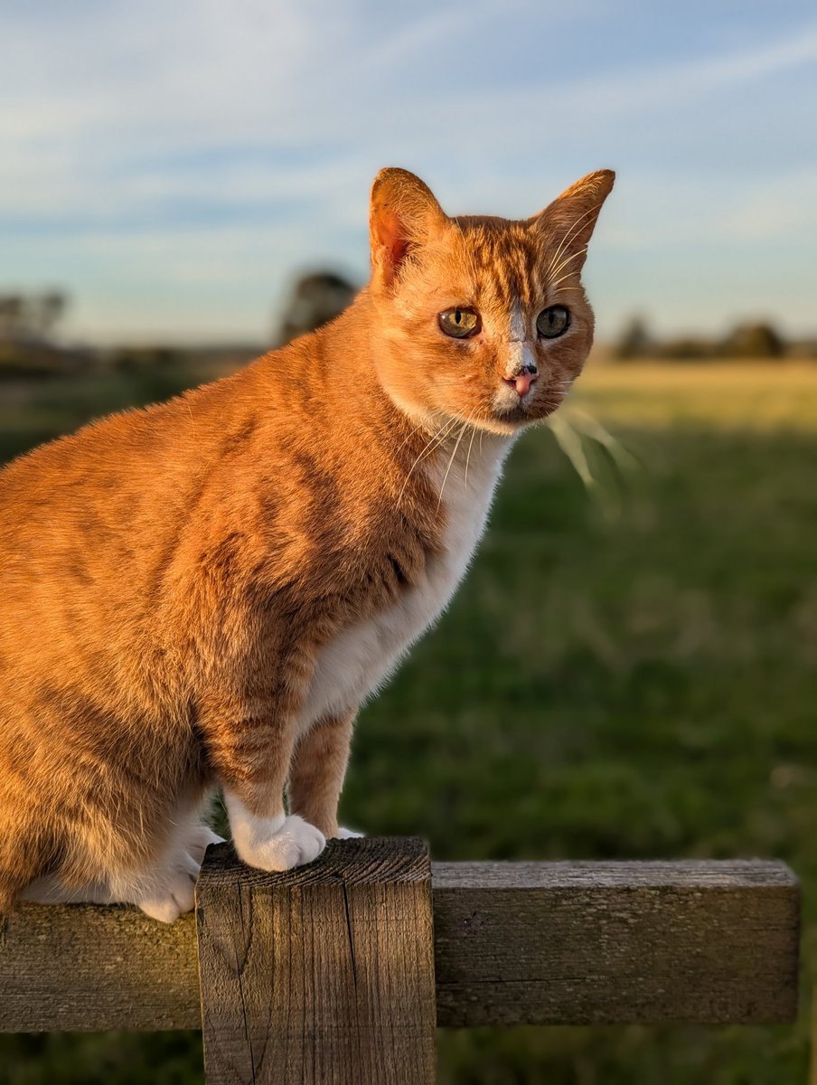 Sally Urwin tweet media