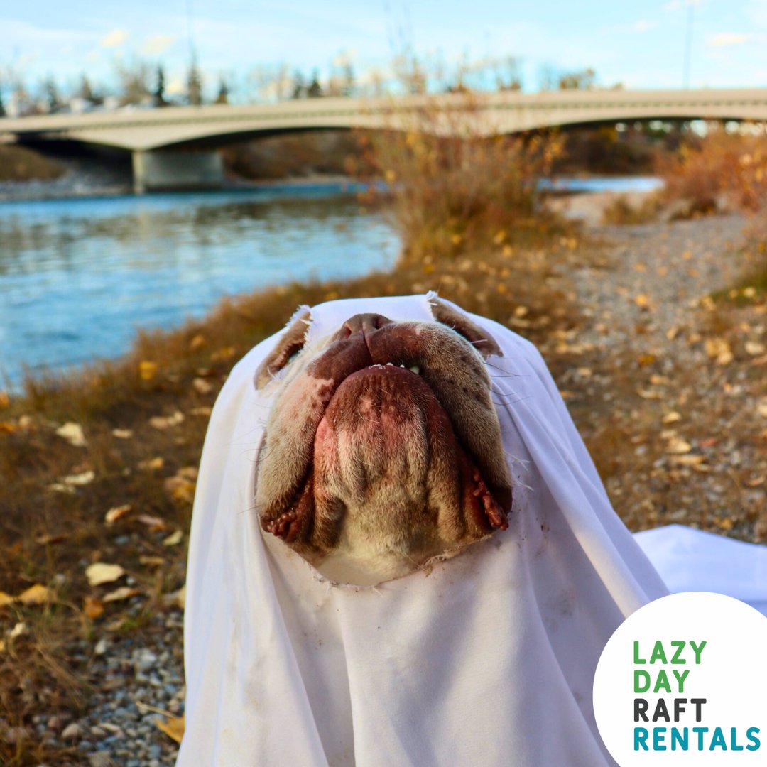 Lazy Raft Rentals Lazy Day Raft Rentals (@LazyDayRafts) / Posts / X