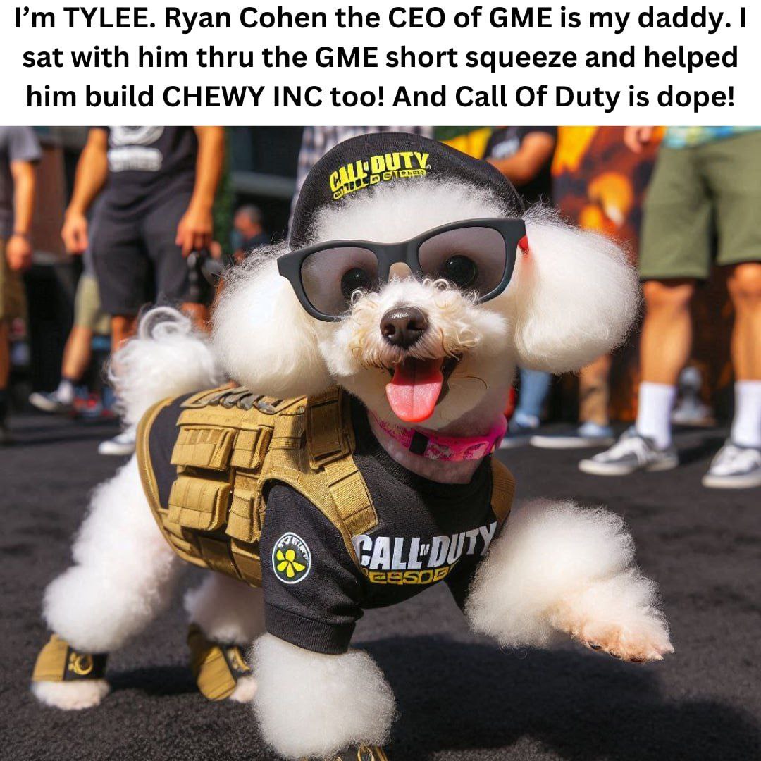 Tylee on Sol tweet media