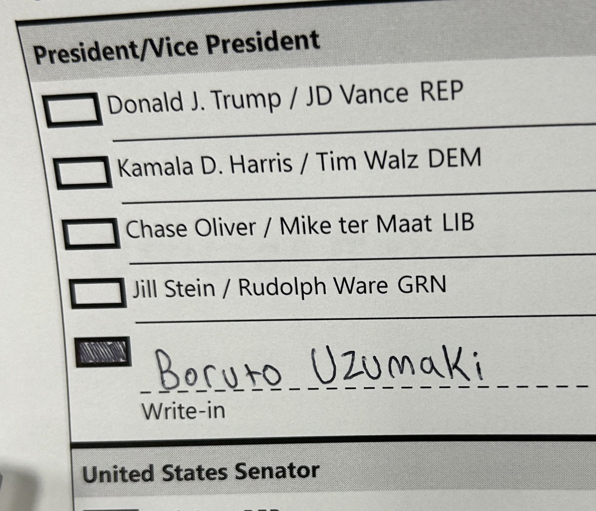 brapdook's tweet image. My fellow Americans, I am proud to exercise my civic duty by casting a vote for the best Hokage I know. Finally, America will be sugoi again. Brapdook out.
