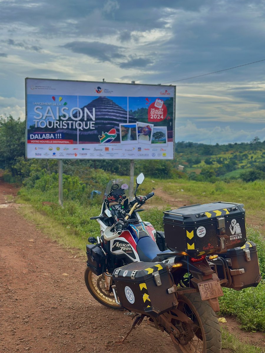 ALPHA 🦅 tweet media