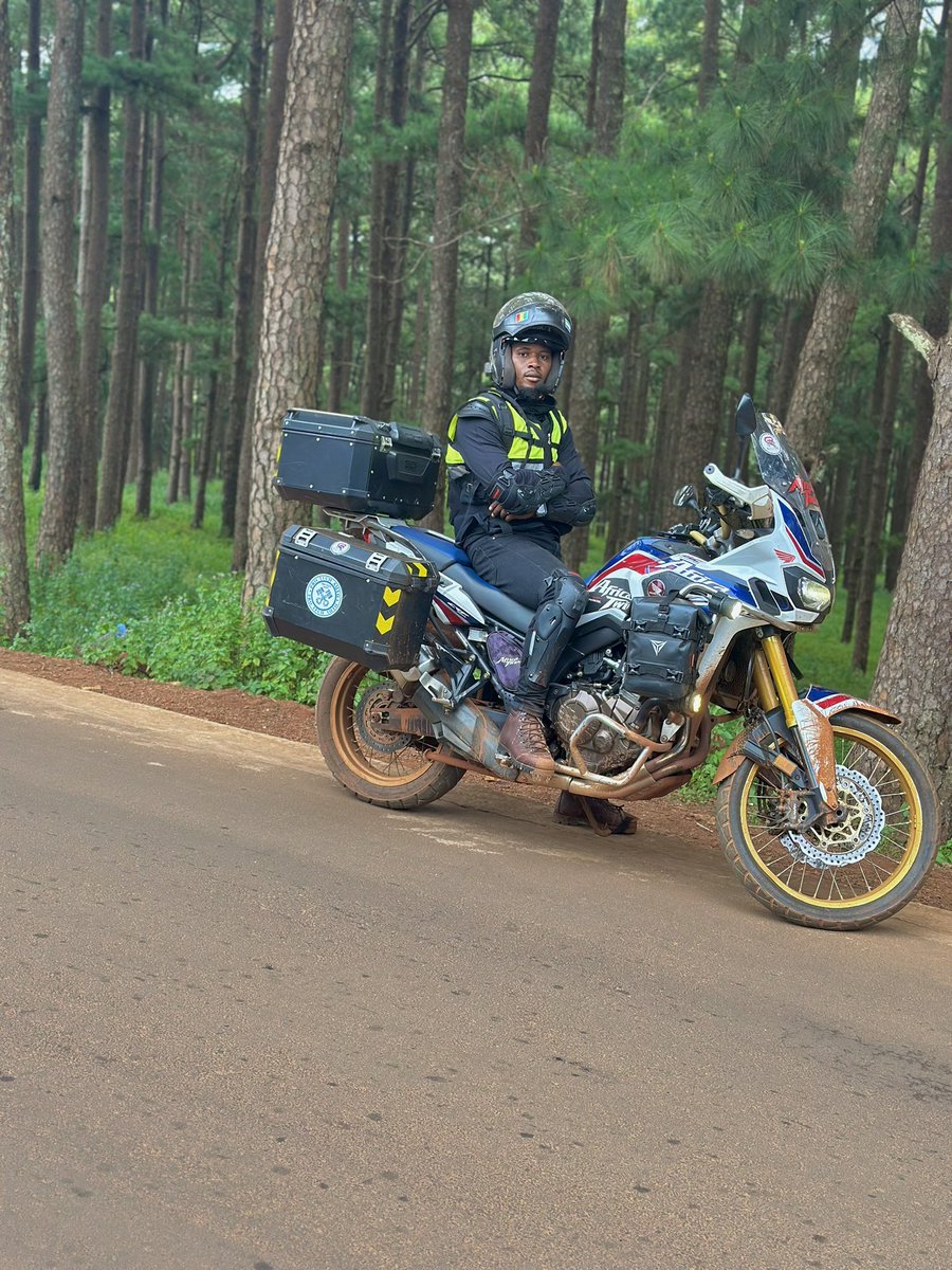 ALPHA 🦅 tweet media