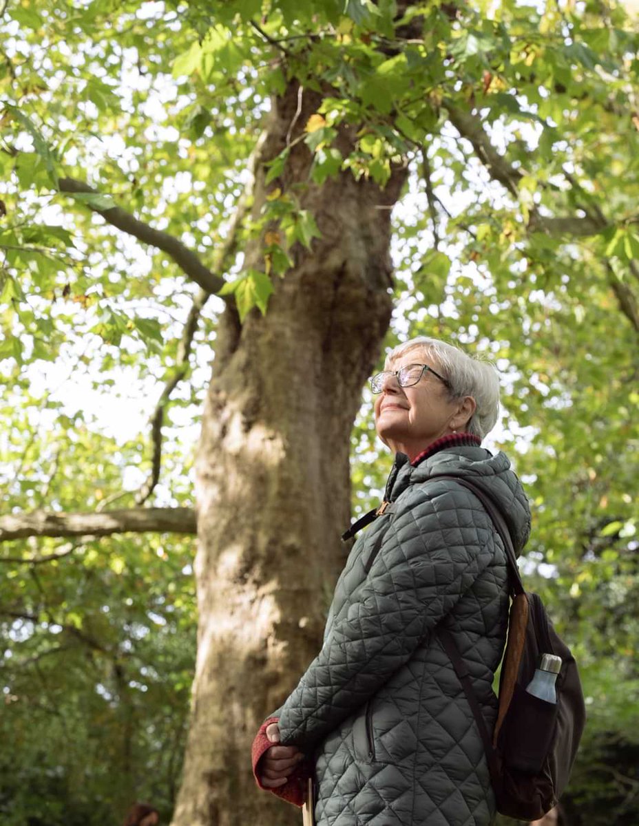 SongPath tweet media