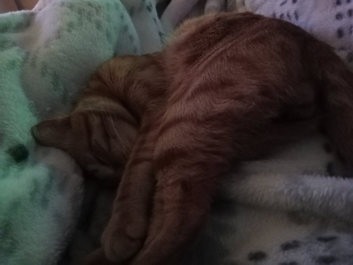 Keyfime değen yok
#BaşarılarBeşiktaş