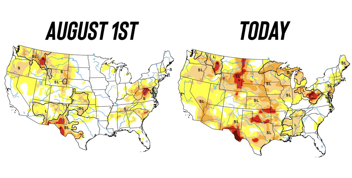 MarketMinuteLLC's tweet photo. Most Drought Since 2012 🔥

Areas in Drought Aug 1st:
🌽 Corn: 4%
🌱 Beans: 4%

Areas in Drought Today:
🌽 Corn: 76%
🌱 Beans: 68%

Massive change the past few months https://t.co/tPHFi74FVE